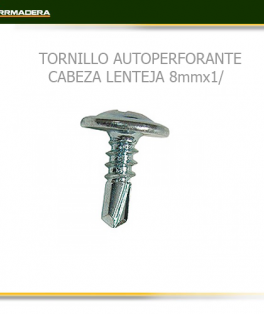 TORNILLO-AUTOPERFORANTE-CABEZA-LENTEJA-8mmx1
