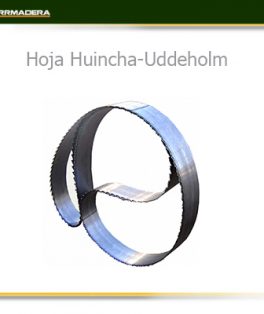 Hoja HuinchaUdde